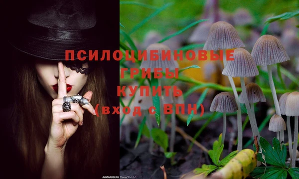 соль курить ск Елизово
